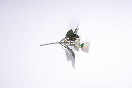 synthetic flowers. Small Bouquet of Red Berries and Green Leaves on White Background photo