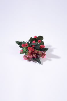 Single Artificial White Rose on a Clean White Background photo