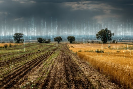 A field with a digital code on it photo