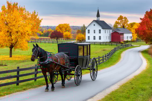 Horse pulling amish buggy along rural road during fall foliage season photo