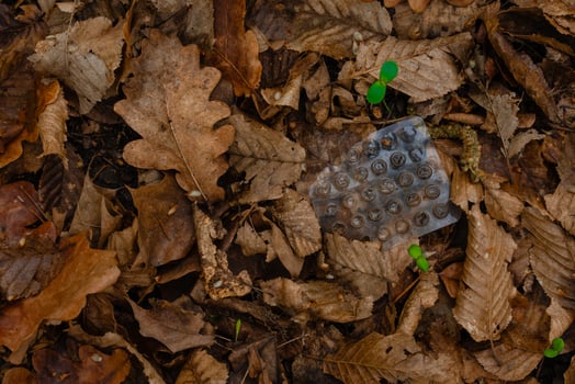Empty blister pack littered among dry forest leaves - environmental pollution concept in woodland photo