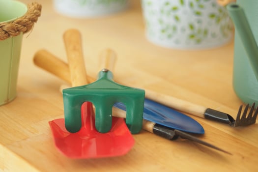 Gardening tools arranged on a wooden surface for planting photo