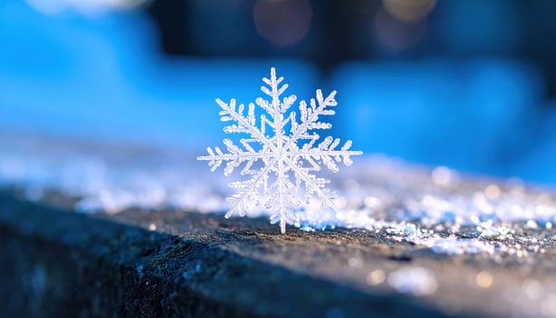 Beautiful delicate white snowflake stands alone cold frosty surface. Intricate ice crystal detail captures essence of winter. Serene natural wonder evokes peaceful, tranquil feeling, symbolizing photo