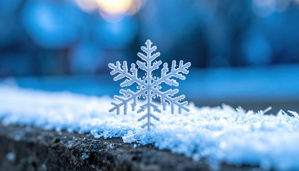 Delicate snowflake stands on fresh snow, reflecting soft blue light. serene winter scene portrays peaceful, cold environment. Frosty ice formation from nature evokes sense of tranquil beauty photo