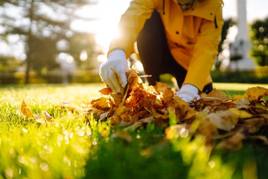 Gloved hands gathering fallen yellow leaves on green grass in the park concept of cleaning photo