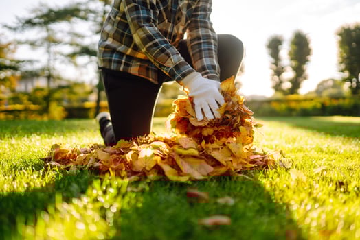 Close up of gloved hands gathering yellow fallen leaves on the park lawn concept of cleaning photo