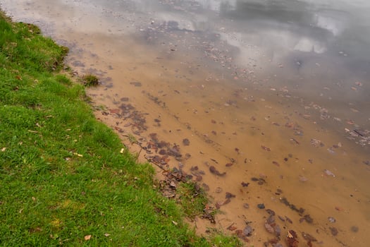 Shoreline with grass and sandy lake beach at Nova Zivohost in the Czech countryside. photo