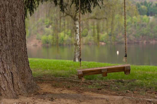 Wooden tree swing hanging over grass by the lake in Nova Zivohost, Czech Republic on spring day. photo