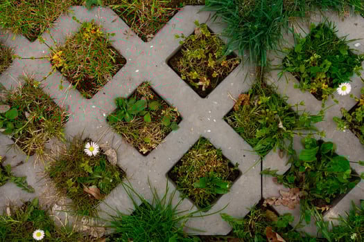 Concrete grass grid with wild plants and daisies - eco-friendly paving surface, growing vegetation photo
