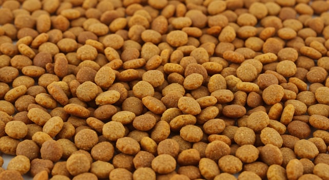 A close up of a pile of brown beans photo