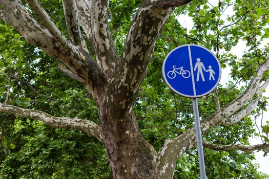 The blue pathway sign indicates a route shared by pedestrians and cyclists, under the tree's branches. photo