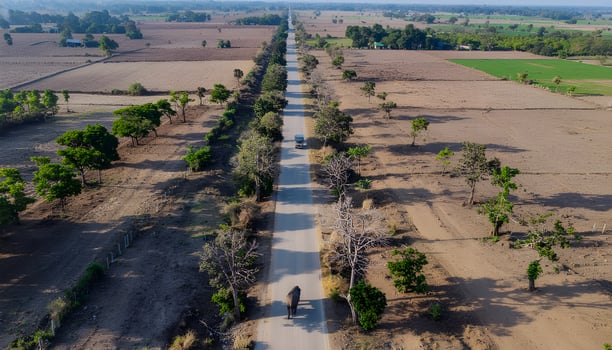 Aerial view of a long straight road stretching through the arid countryside, a symbol of an endless journey and travel. photo