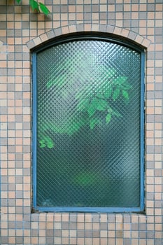 Burred plant leaves behind Frosted glass of window cafe photo