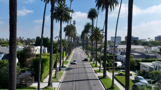 Beauty Carmelita Drive in Beverly Hills Los Angeles in United States. Stunning Background. photo