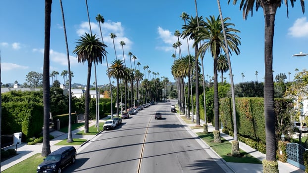 Awesome Carmelita Drive at Beverly Hills Los Angeles United States.. Famous Cinematic. photo