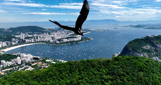 Incredible Christ the Redeemer in Cityscape Aerial Rio de Janeiro in Brazil . Awesome Scene. photo