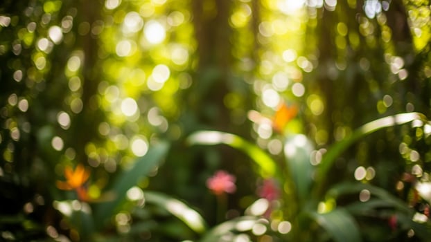 A blurry image of a garden with trees and flowers photo