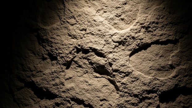 A close up of a rock wall with footprints photo