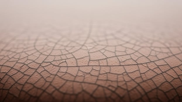 A close up of a cracked leather surface photo