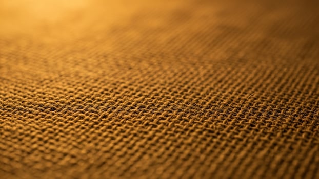 A close up of a brown fabric with a light background photo