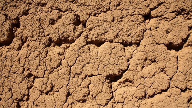 A close up of a brown wall with dirt Colorful Abstract Art photo
