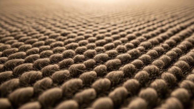 A close up of a carpet with many different types of yarn photo