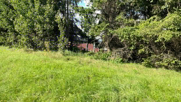 A grassy hillside with trees and a red barn photo