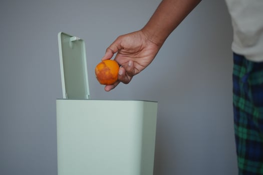 Hand depositing a mold orange in green trash bin photo