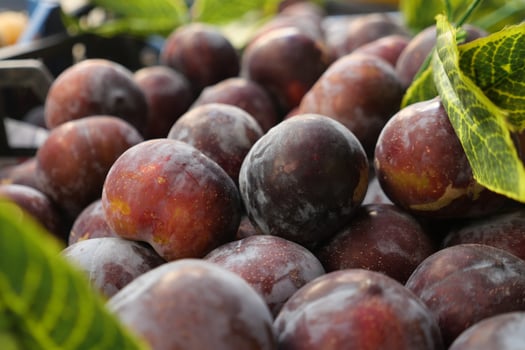 Fresh plums displayed at the local market during summer photo