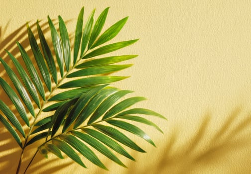Tropical palm leaves casting shadows on yellow wall background photo