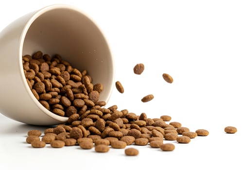 Dog food falling out of a bowl photo