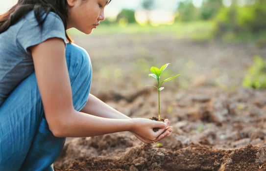 woman is holding small plant in her hand photo