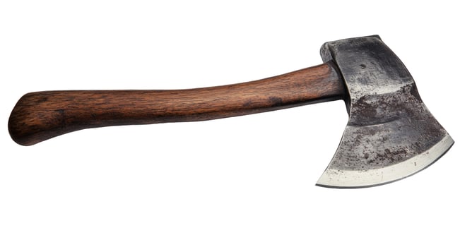 An axe with a wooden handle on a white background photo