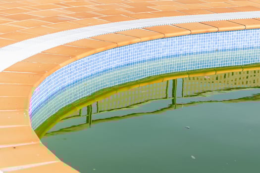 The curved edge of an unmaintained pool at the end of the season. End Of Summer photo