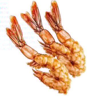 Three Cooked Breaded Shrimp Illustration on White Background photo
