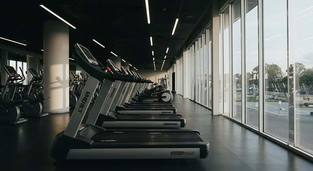 Rows of Treadmills in a Modern Gym with Linear Lights and Sunlit Windows photo