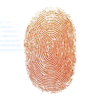 Bright orange human fingerprint pattern isolated on a clean white background, representing unique identity and biometric security. photo
