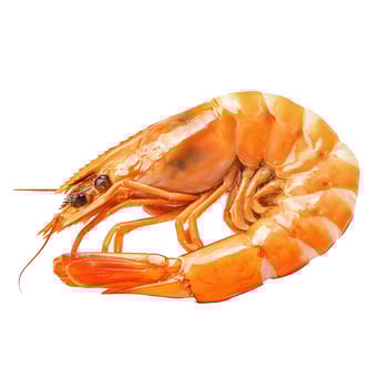 Cooked Orange Shrimp Isolated on White Background photo