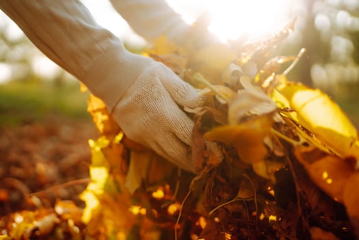 A person in white gloves is holding a pile of colorful leaves photo