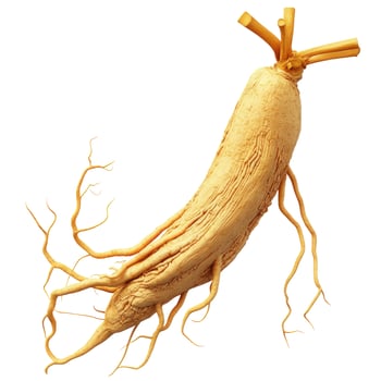 Detailed Panax Ginseng Root Isolated on White Background for Herbal Medicine and Health Concepts photo