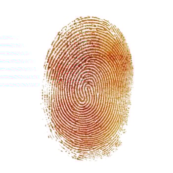 Detailed reddish-brown human fingerprint pattern on a clean white background, representing identity and security. photo