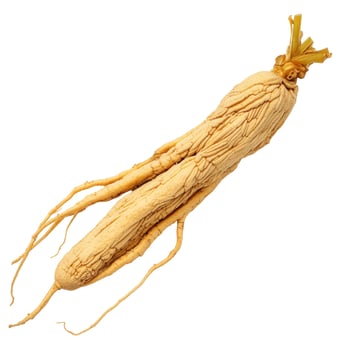 Fresh Asian ginseng root isolated on white background photo