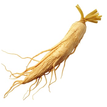 Traditional Asian Ginseng Root Isolated on White Background photo