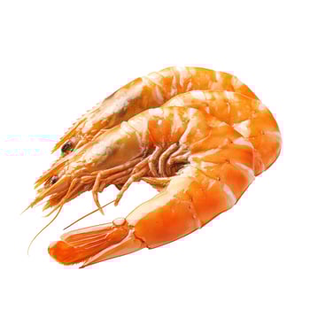 Two cooked orange shrimp or prawns on a clean white background, ready for seafood dishes. photo