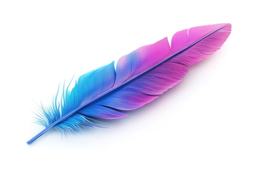 Vibrant blue and pink patterned feather isolated on white background photo