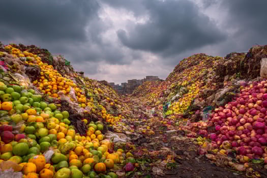 A pile of fruit photo