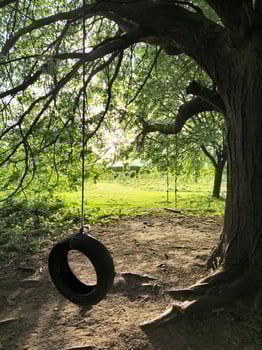 A black tire swing hangs from a sturdy branch by a long rope outside, nature photo