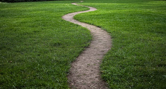 Winding path through lush green grass, leading forward photo