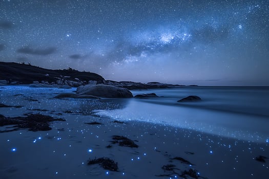 Milky Way Galaxy Over Bioluminescent Beach at Night. photo