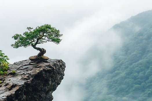 Majestic Bonsai Tree on a Misty Mountain Cliff Edge. photo